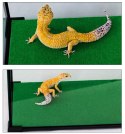 Repti-Zoo Carpet Mat - podłoże do terrarium Repti-Zoo