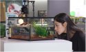 Repti-Zoo Simple Habitat - terrarium 31x21x30 Repti-Zoo