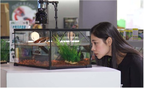 Repti-Zoo Simple Habitat - terrarium 31x21x30 Repti-Zoo Repti-Zoo Simple Habitat - terrarium 31x21x30 Repti-Zoo