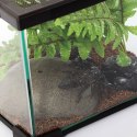 Repti-Zoo Simple Habitat - terrarium 31x31x20 Repti-Zoo