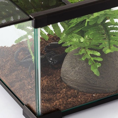 Repti-Zoo Terrarium AK 21x31x15 Repti-Zoo Repti-Zoo Terrarium AK 21x31x15 Repti-Zoo