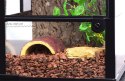 Repti-Zoo Terrarium RK 30x30x45cm Repti-Zoo