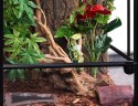 Repti-Zoo Terrarium RK 45x45x60cm Repti-Zoo Repti-Zoo Terrarium RK 45x45x60cm Repti-Zoo