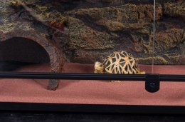 Repti-Zoo Terrarium RK 90x45x32cm Repti-Zoo