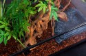 Repti-Zoo Terrarium RK 90x45x60cm Repti-Zoo Repti-Zoo Terrarium RK 90x45x60cm Repti-Zoo