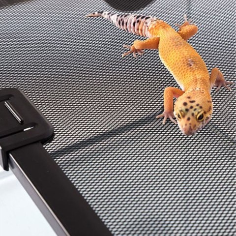 Repti-Zoo terrarium RAK 50x30x35cm Repti-Zoo Repti-Zoo terrarium RAK 50x30x35cm Repti-Zoo
