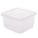 Terrario Insect Box Compact 12x12x7cm Terrario