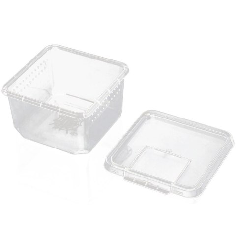 Terrario Insect Box Compact 12x12x7cm Terrario Terrario Insect Box Compact 12x12x7cm Terrario
