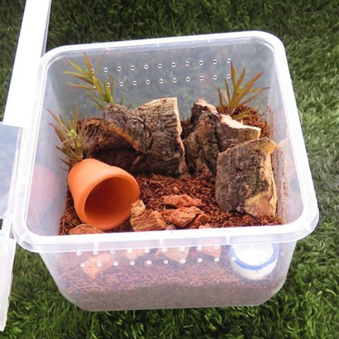 Terrario Insect Box Compact 12x12x7cm Terrario Terrario Insect Box Compact 12x12x7cm Terrario