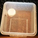 Terrario Insect Box Compact 12x12x7cm Terrario