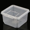 Terrario Insect Box Compact 12x12x7cm Terrario
