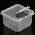 Terrario Insect Box Compact 12x12x7cm Terrario