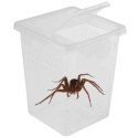 Terrario Insect Box High - plastikowe terrarium 9x9x11cm Terrario