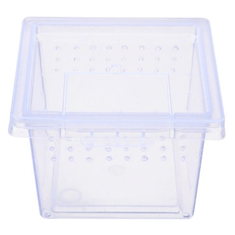 Terrario Insect Box Mini - terrarium dla owadów 6,5 x 6,5 x 4,5 cm Terrario