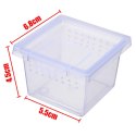 Terrario Insect Box Mini - terrarium dla owadów 6,5 x 6,5 x 4,5 cm Terrario