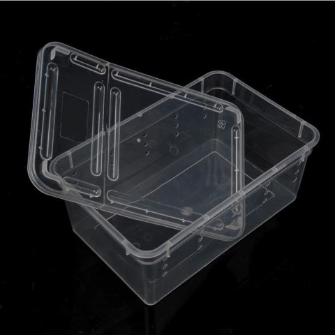 Terrario Terrarium Faunarium 26x18x13cm Terrario Terrario Terrarium Faunarium 26x18x13cm Terrario