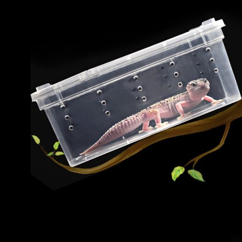 Terrario Terrarium Faunarium 26x18x13cm Terrario Terrario Terrarium Faunarium 26x18x13cm Terrario