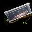 Terrario Terrarium Faunarium 33x22x15cm Terrario