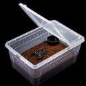 Terrario Terrarium Faunarium 33x22x15cm Terrario