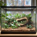 Aventerra Sweden DRAGOON Alder Large 4l - duże zrębki olchowe Aventerra