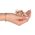 Aventerra Sweden DRAGOON Beech Large 4l - duże zrębki bukowe Aventerra