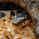 Aventerra Sweden SNAKEEY Wood Tiny 4l - podłoże dla węży i gryzoni Aventerra