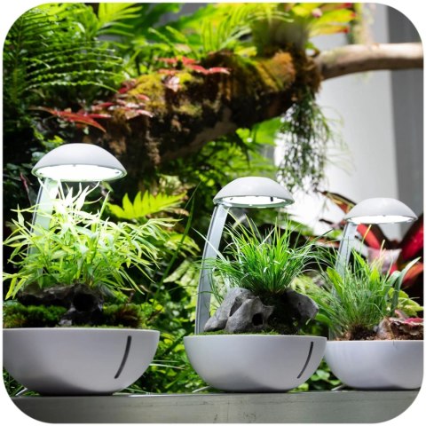Chihiros Tiny Terrarium Egg - terrarium do hodowli roślin i gadów Chihiros Chihiros Tiny Terrarium Egg - terrarium do hodowli roślin i gadów Chihiros