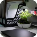 Chihiros Tiny Terrarium Egg - terrarium do hodowli roślin i gadów Chihiros Chihiros Tiny Terrarium Egg - terrarium do hodowli roślin i gadów Chihiros