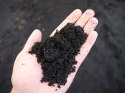 EXO TERRA Black Sand 4,5kg - piasek pustynny czarny Exo terra