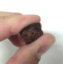 Komodo Coconut Terrain - podłoże kokosowe 6l Komodo