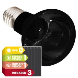 Komodo Moonlight 75W - nocna żarówka grzewcza Komodo