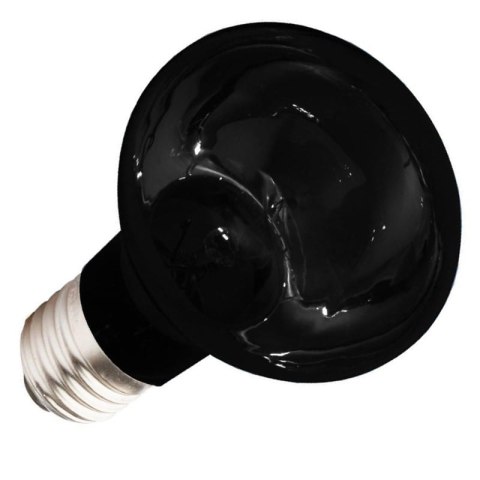 Komodo Moonlight 75W - nocna żarówka grzewcza Komodo Komodo Moonlight 75W - nocna żarówka grzewcza Komodo