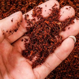 Komodo Rainforest Substrate 6l - podłoże tropikalne Komodo