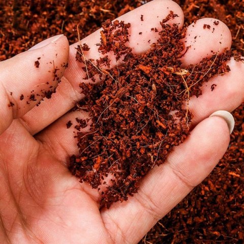 Komodo Rainforest Substrate 6l - podłoże tropikalne Komodo Komodo Rainforest Substrate 6l - podłoże tropikalne Komodo