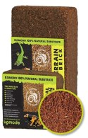 Komodo Tropical Terrain Brick M - podłoże z włókien kokosa 4l Komodo