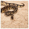 Repti-Zoo Aspen Snake Bedding - podłoże włókna topoli 500 g Repti-Zoo