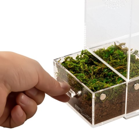 Repti-Zoo Easy Clean Acrylic Terrarium - terrarium akrylowe 10x10x20cm Repti-Zoo Repti-Zoo Easy Clean Acrylic Terrarium - terrarium akrylowe 10x10x20cm Repti-Zoo