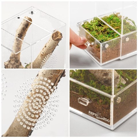 Repti-Zoo Easy Clean Acrylic Terrarium - terrarium akrylowe 10x10x20cm Repti-Zoo Repti-Zoo Easy Clean Acrylic Terrarium - terrarium akrylowe 10x10x20cm Repti-Zoo