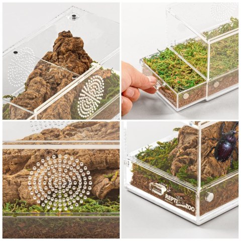 Repti-Zoo Easy Clean Acrylic Terrarium - terrarium akrylowe 20x10x10cm Repti-Zoo Repti-Zoo Easy Clean Acrylic Terrarium - terrarium akrylowe 20x10x10cm Repti-Zoo