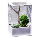 Repti-Zoo Mantis Box L - terrarium akrylowe dla modliszek Repti-Zoo