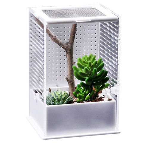 Repti-Zoo Mantis Box L - terrarium akrylowe dla modliszek Repti-Zoo Repti-Zoo Mantis Box L - terrarium akrylowe dla modliszek Repti-Zoo