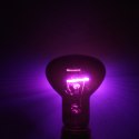 Repti-Zoo Moonlight Heat 50W - żarówka nocna grzewcza Repti-Zoo