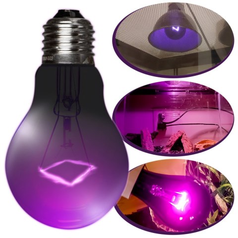 Repti-Zoo Night Heat Bulb 35W - żarówka grzewcza nocna Repti-Zoo Repti-Zoo Night Heat Bulb 35W - żarówka grzewcza nocna Repti-Zoo