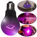 Repti-Zoo Night Heat Bulb 50W - żarówka grzewcza nocna Repti-Zoo