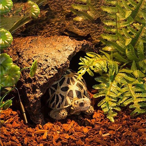 Repti-Zoo Pine Bark 4l - kora Repti-Zoo Repti-Zoo Pine Bark 4l - kora Repti-Zoo