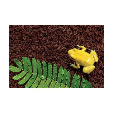 Repti-Zoo Podłoże z włókien kokosa 4l Repti-Zoo Repti-Zoo Podłoże z włókien kokosa 4l Repti-Zoo