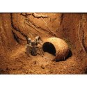 Repti-Zoo Podłoże z włókien kokosa 4l Repti-Zoo