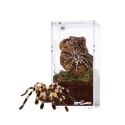 Repti-Zoo Terrarium akrylowe wysokie 7,5x7,5x15cm Repti-Zoo