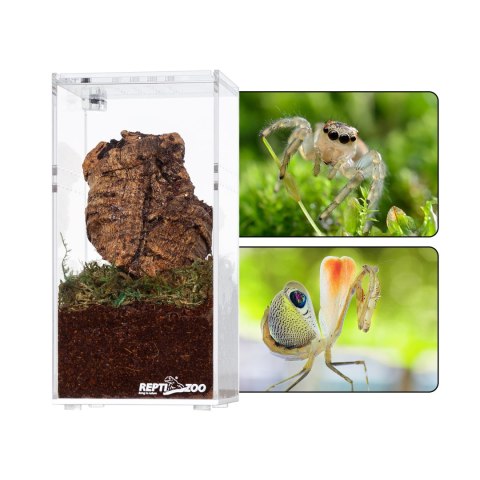 Repti-Zoo Terrarium akrylowe wysokie 7,5x7,5x15cm Repti-Zoo Repti-Zoo Terrarium akrylowe wysokie 7,5x7,5x15cm Repti-Zoo
