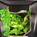 Repti-Zoo Terrarium aluminiowe 60x45x90 Repti-Zoo Repti-Zoo Terrarium aluminiowe 60x45x90 Repti-Zoo